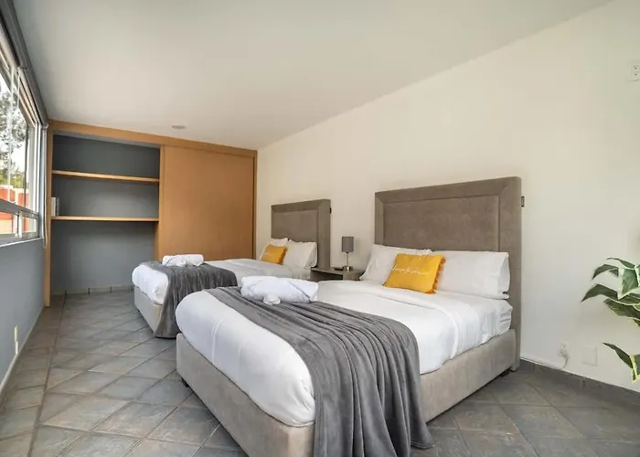 Prime Polanco With Patio Near Shops & Cafes Cidade do México